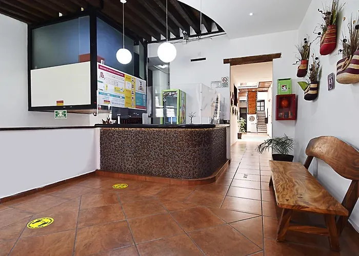 Mexico City Hostel